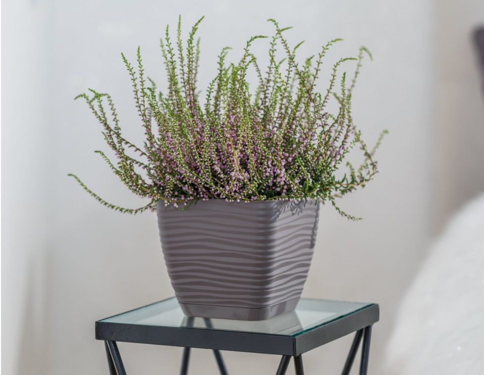 Кашпо для цветов Sahara Petit квадратное 13х13см 1,3л с поддоном 3610-014 антрацит фото в интернет-магазине meandhome.ru