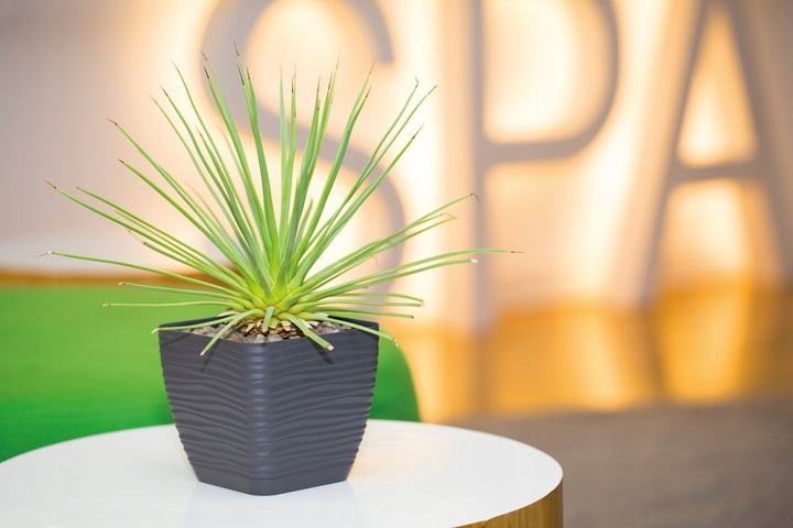 Кашпо для цветов Sahara Petit квадратное 13х13см 1,3л с поддоном 3610-014 антрацит фото в интернет-магазине meandhome.ru