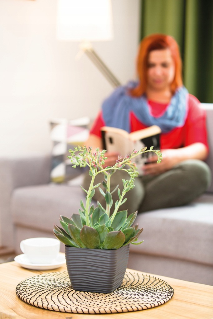 Кашпо для цветов Sahara Petit квадратное 13х13см 1,3л с поддоном 3610-014 антрацит фото в интернет-магазине meandhome.ru