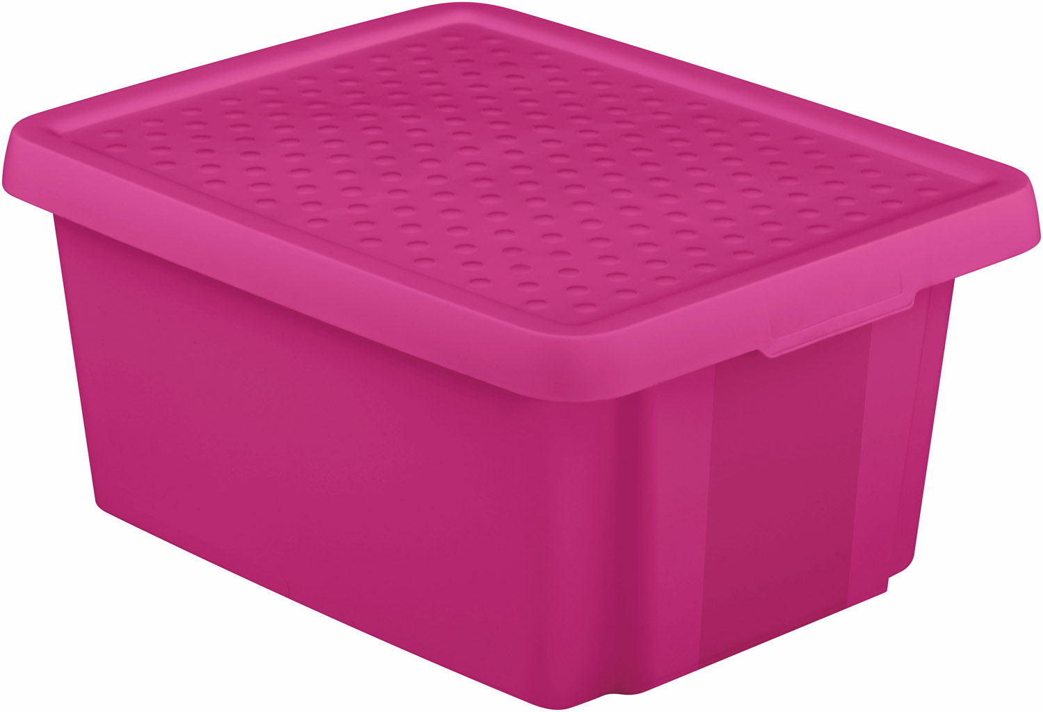 Коробка для хранения Essentials 20л с крышкой фиолетовый CURVER 225367 в интернет-магазине meandhome.ru