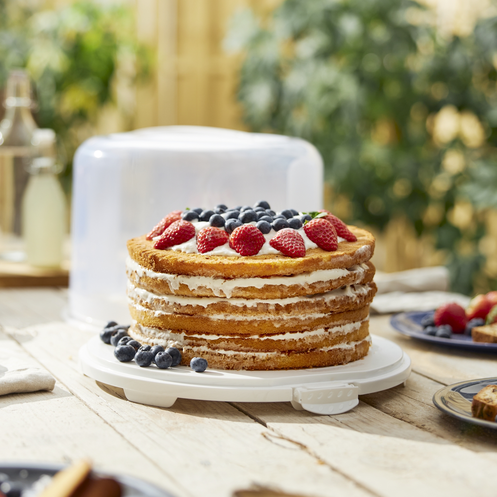 ТОВАРЫ Тортовница круглая ROTHO Fresh XL d=345мм h=260мм 10461 белый, прозрачный в интернет-магазине meandhome.ru