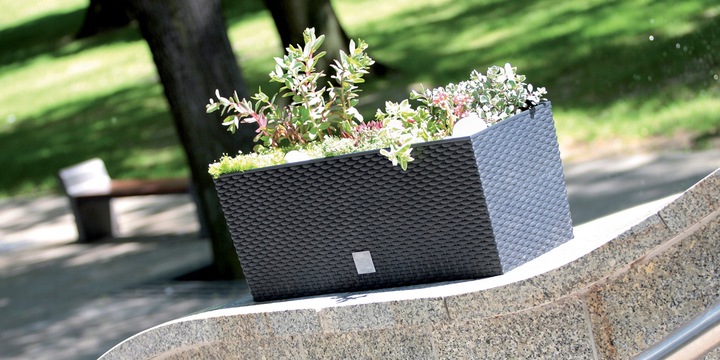 Балконный ящик Rato case 25х60х24см умбра DRTC600-440U фото в интернет-магазине meandhome.ru