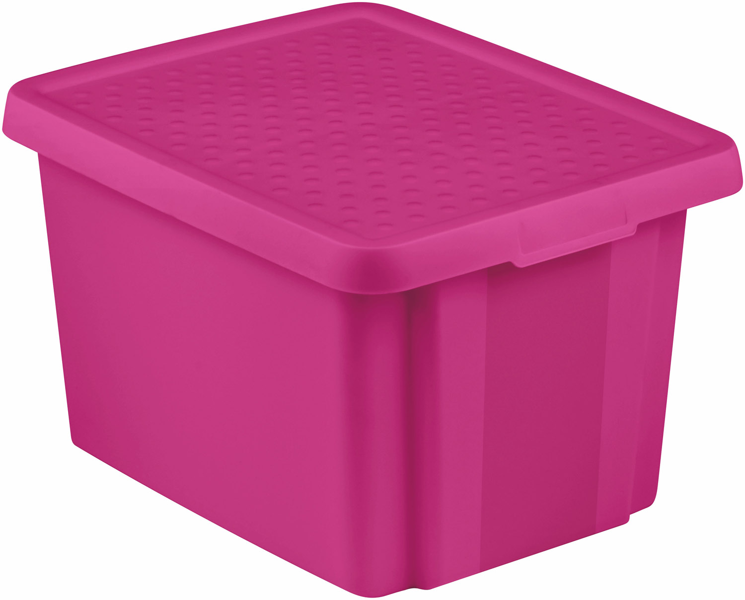 Коробка для хранения Essentials 26л с крышкой фиолетовый CURVER 225450 в интернет-магазине meandhome.ru