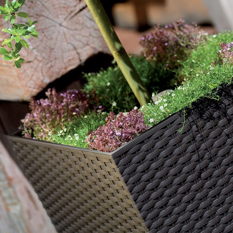 Кашпо Rato square 22,3х22,3х42,1см 16л антрацит DRTS225-S433 фото в интернет-магазине meandhome.ru