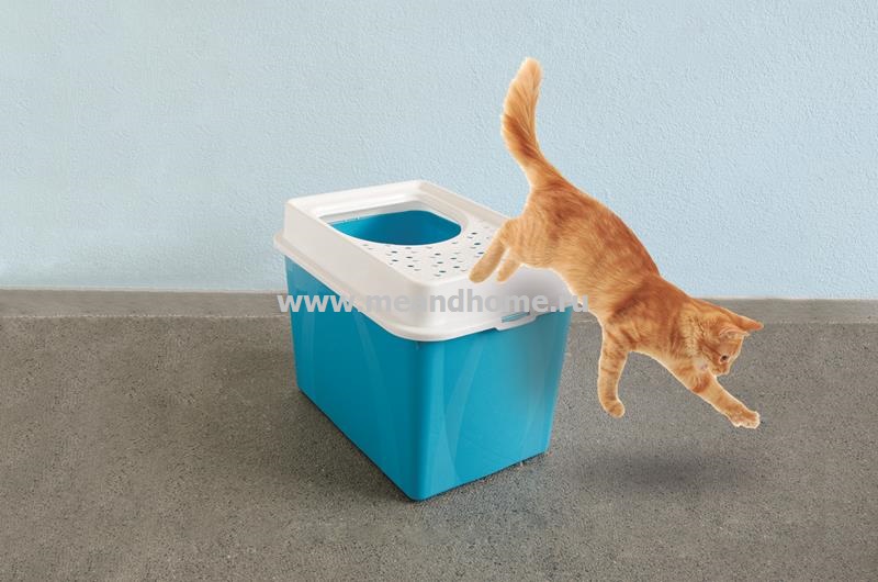 Туалет для кошек Berty ECO с верхним входом голубой ROTHO 40046 фото в интернет-магазине meandhome.ru
