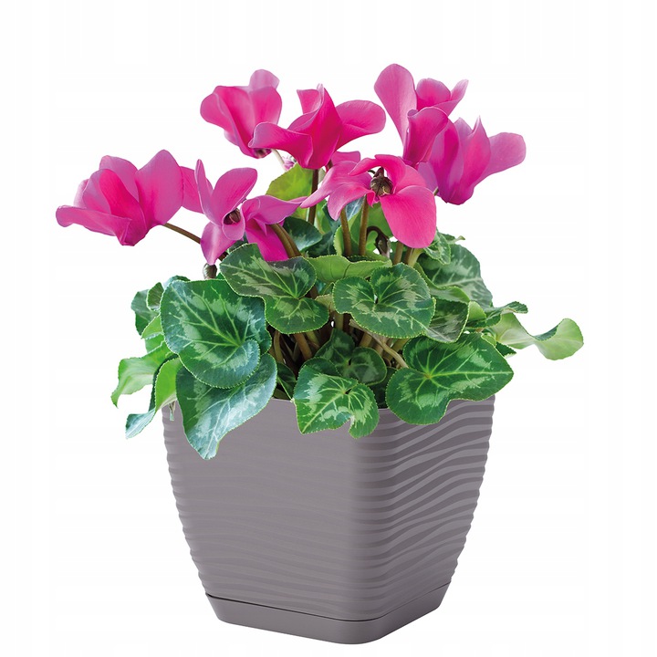 Кашпо для цветов Sahara Petit квадратное 13х13см 1,3л с поддоном 3610-014 антрацит фото в интернет-магазине meandhome.ru