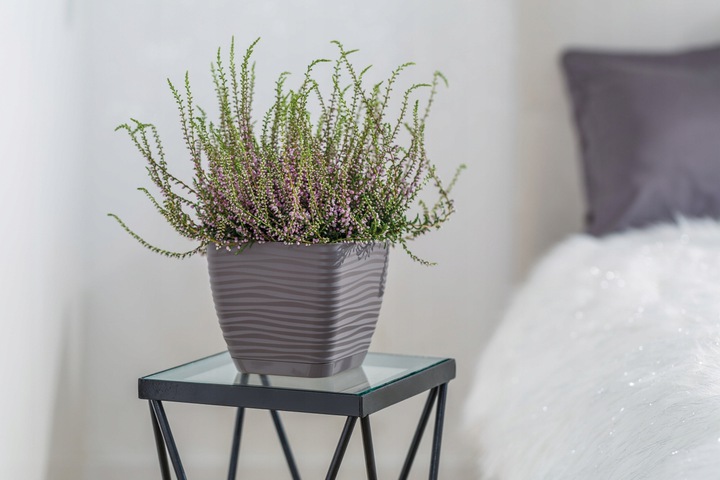 Кашпо для цветов Sahara Petit квадратное 13х13см 1,3л с поддоном 3610-014 антрацит фото в интернет-магазине meandhome.ru