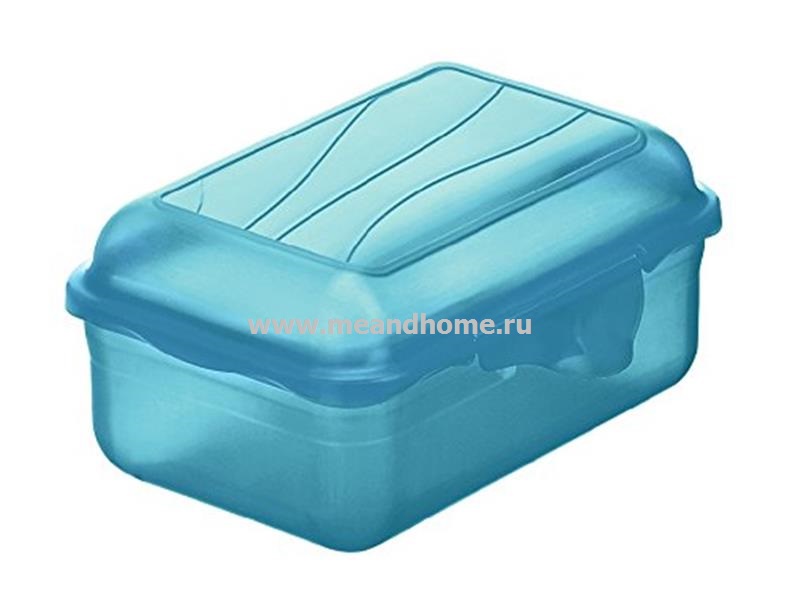 ТОВАРЫ Емкость для пищи 0,4л FUN голубой ROTHO 1718906113 в интернет-магазине meandhome.ru