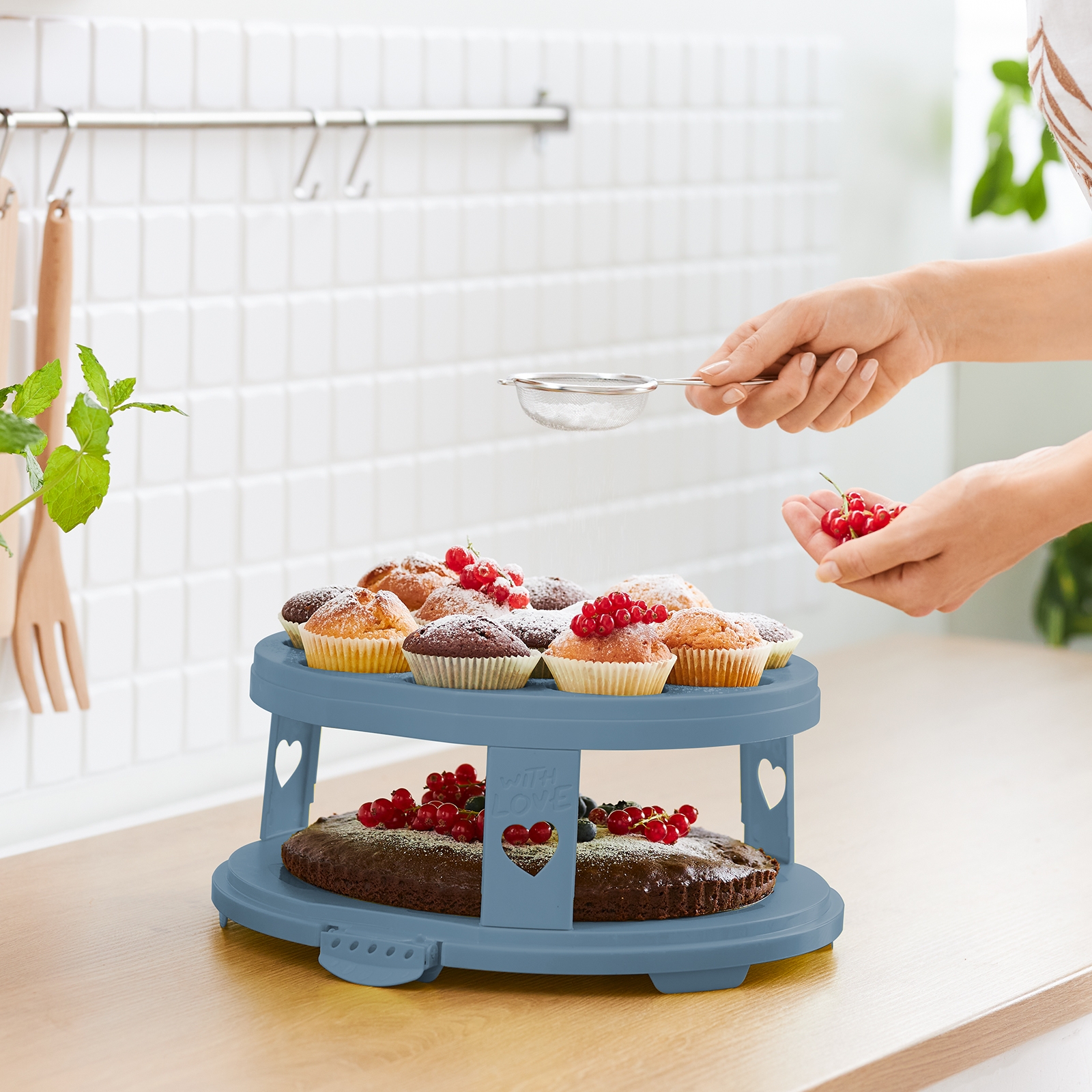 ТОВАРЫ Тортовница круглая ROTHO Fresh XL d=345мм h=260мм с вставкой 10460 прозрачный, голубой в интернет-магазине meandhome.ru