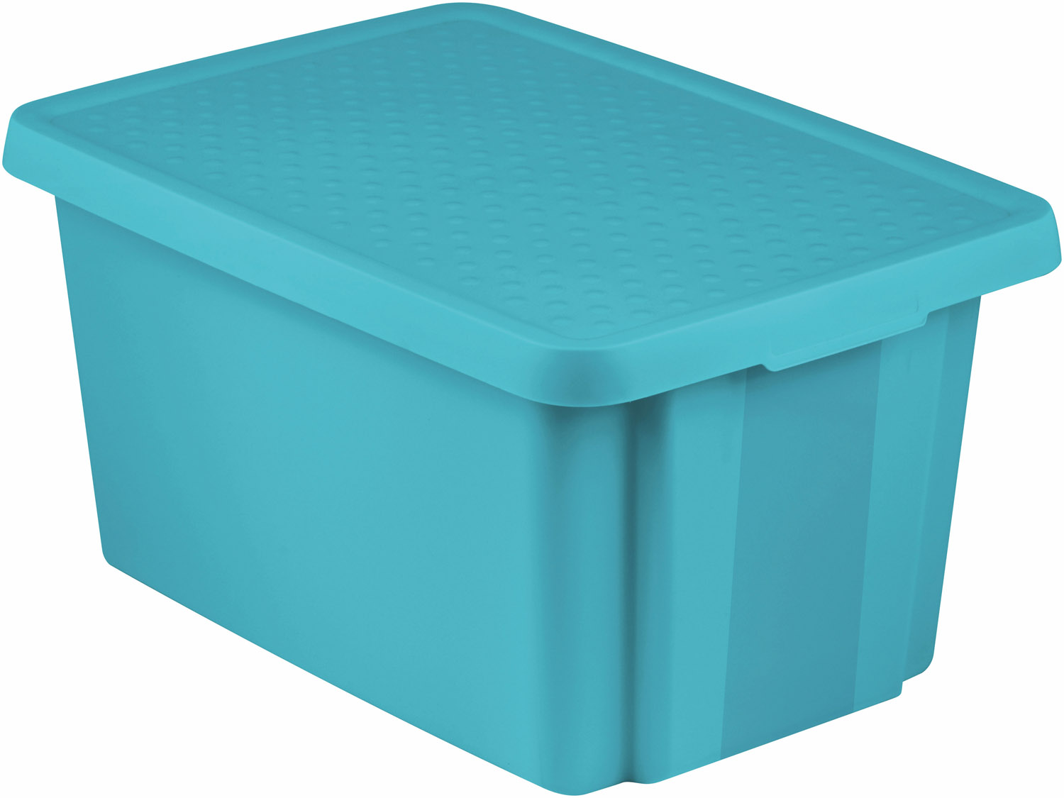 Коробка для хранения Essentials 45л с крышкой синий CURVER 225413 в интернет-магазине meandhome.ru