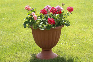 Вазон Грация 2 d23см h23см 3,3л терра FP 1006 Вазон Грация 2 d23см h23см 3,3л терра FP 1006