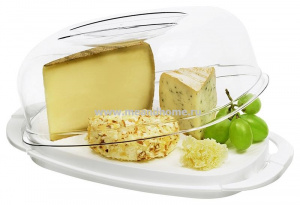 Емкость для сыра Fresh прозрачный, белый ROTHO 1709601100